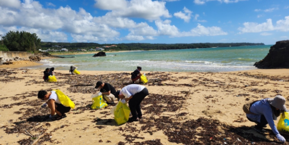 ビーチクリーン活動の様子